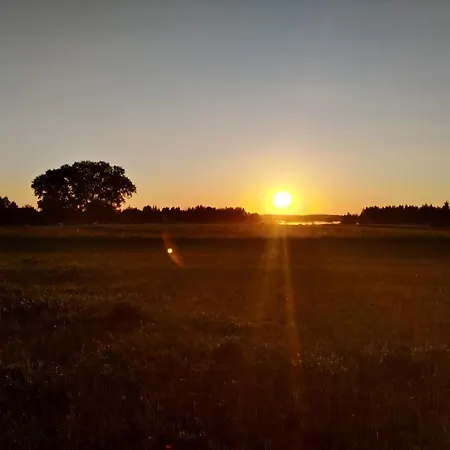 Siedlisko 14 Mikolajki (Mragowo)